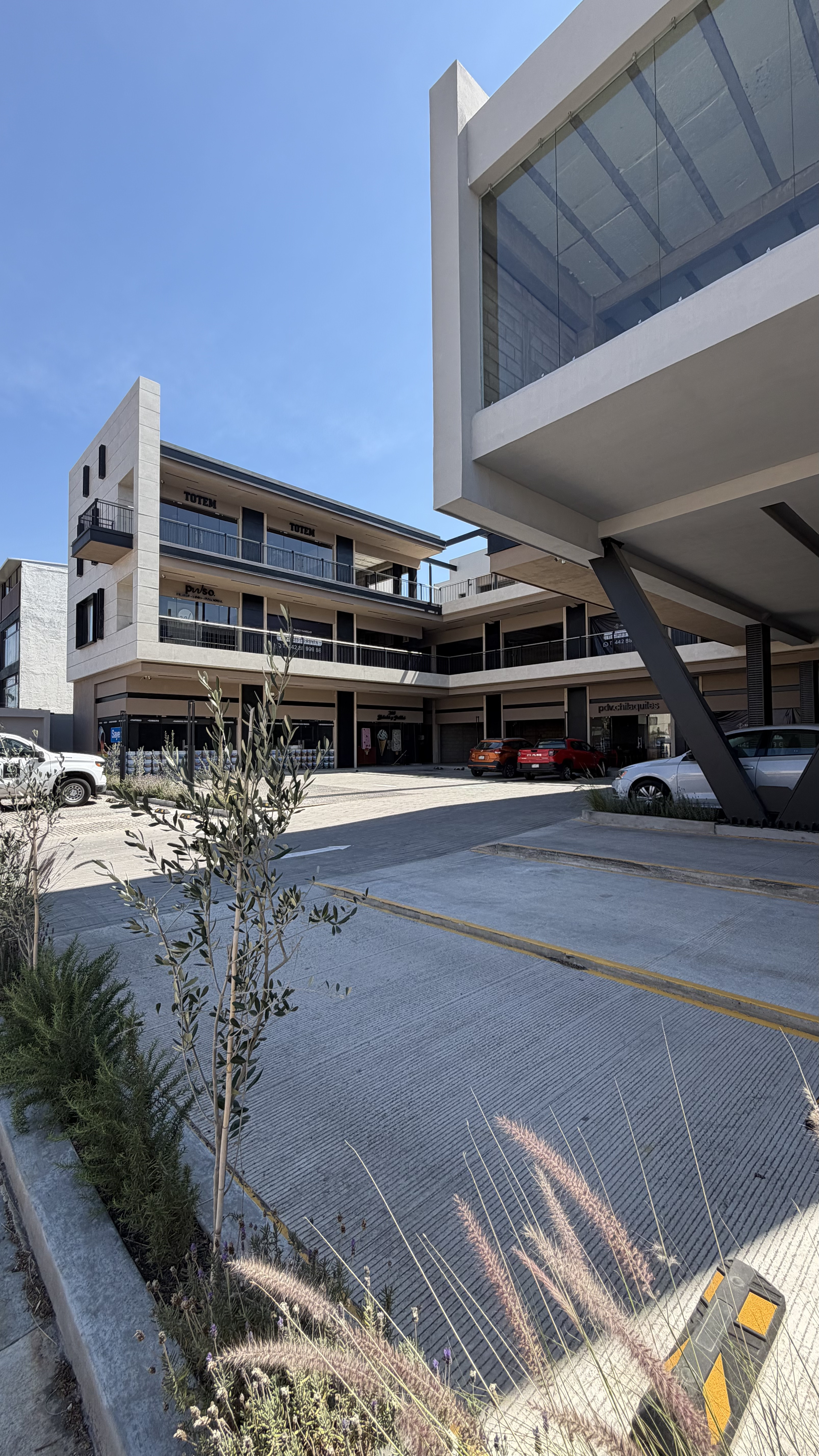 Plaza Paseo Vanegas